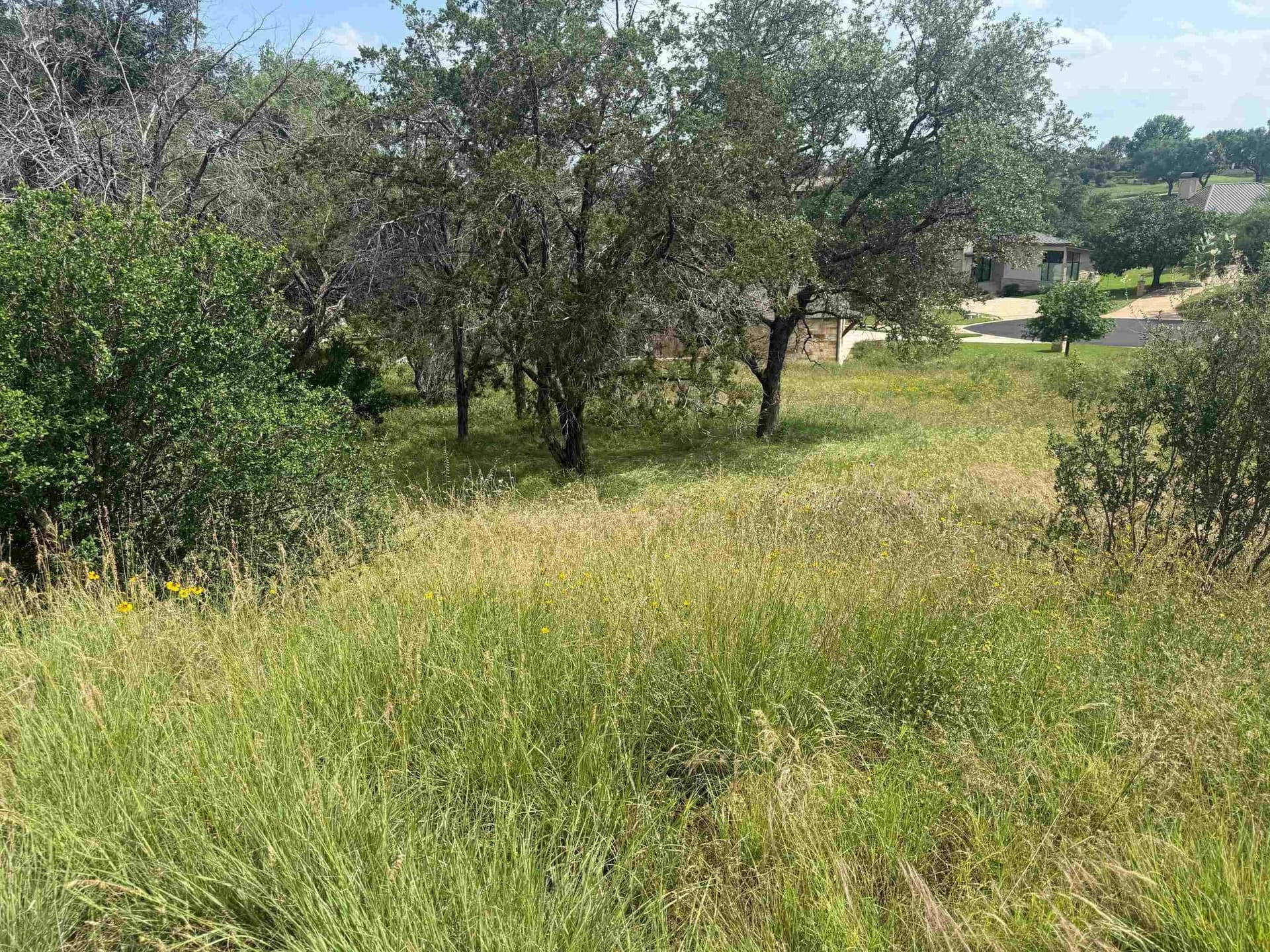 0.23 acres in Llano County gallery image 2