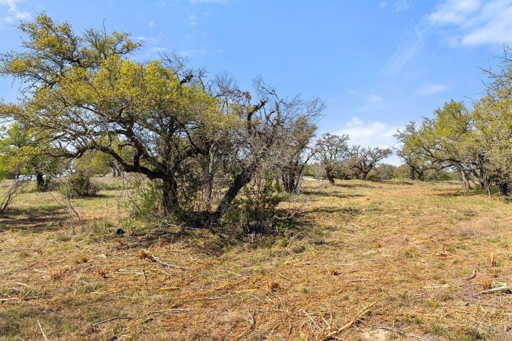 5 acres in Blanco County - photo 25