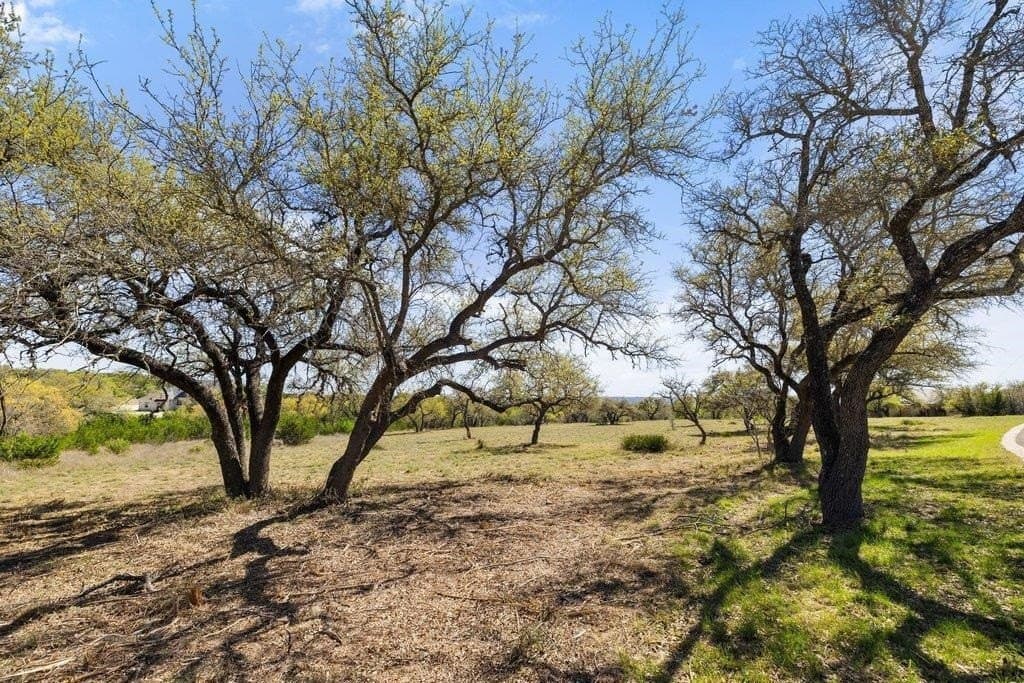 5 acres in Blanco County gallery image 3