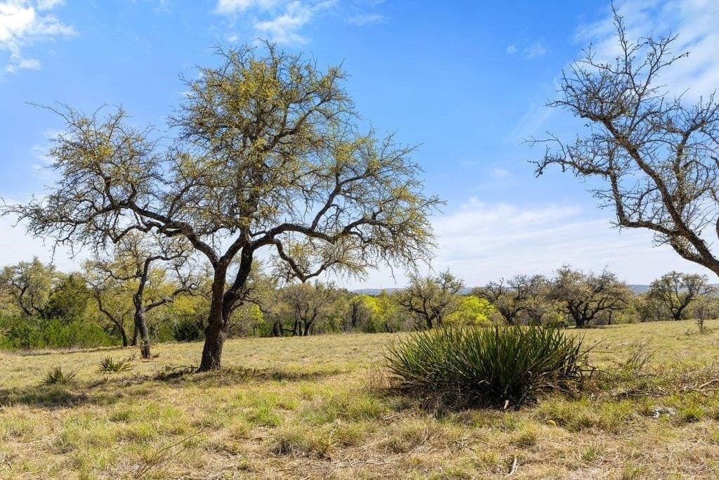 5 acres in Blanco County gallery image 4