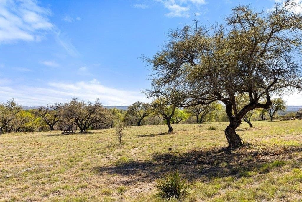 5 acres in Blanco County - photo 6
