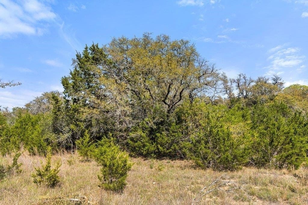 5 acres in Blanco County - photo 18
