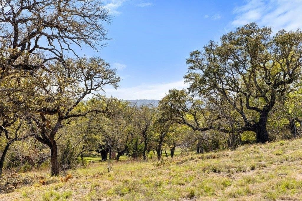 5 acres in Blanco County - photo 9