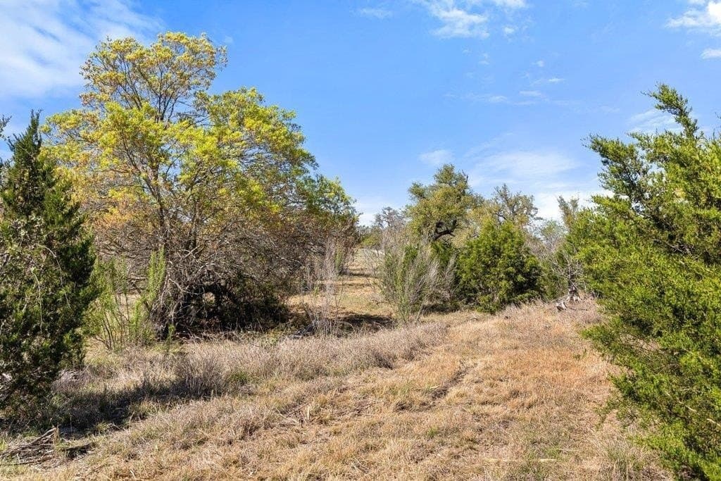 5 acres in Blanco County - photo 23
