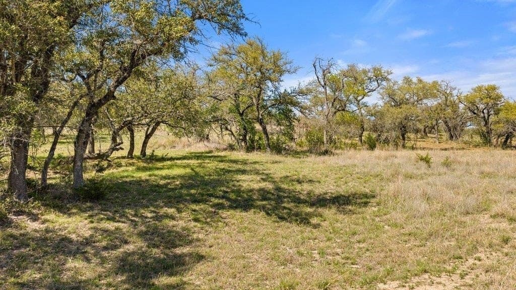 5 acres in Blanco County - photo 16
