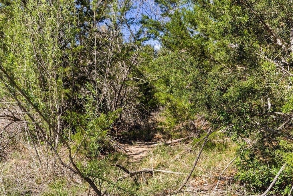 5 acres in Blanco County - photo 24
