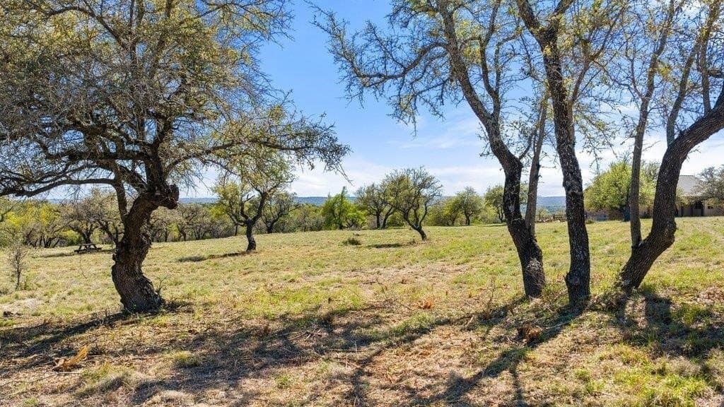 5 acres in Blanco County - photo 10