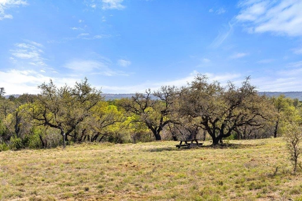 5 acres in Blanco County - photo 8