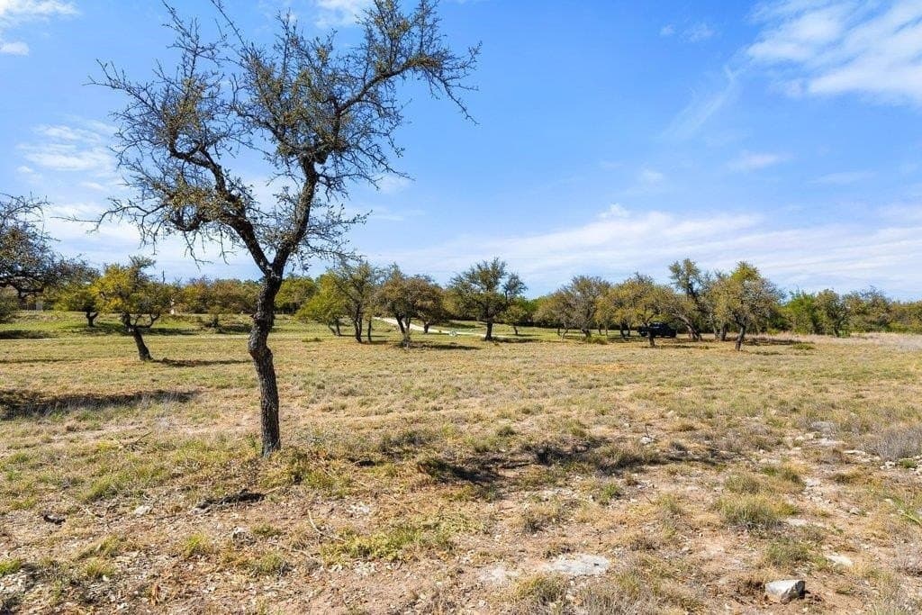 5 acres in Blanco County - photo 17