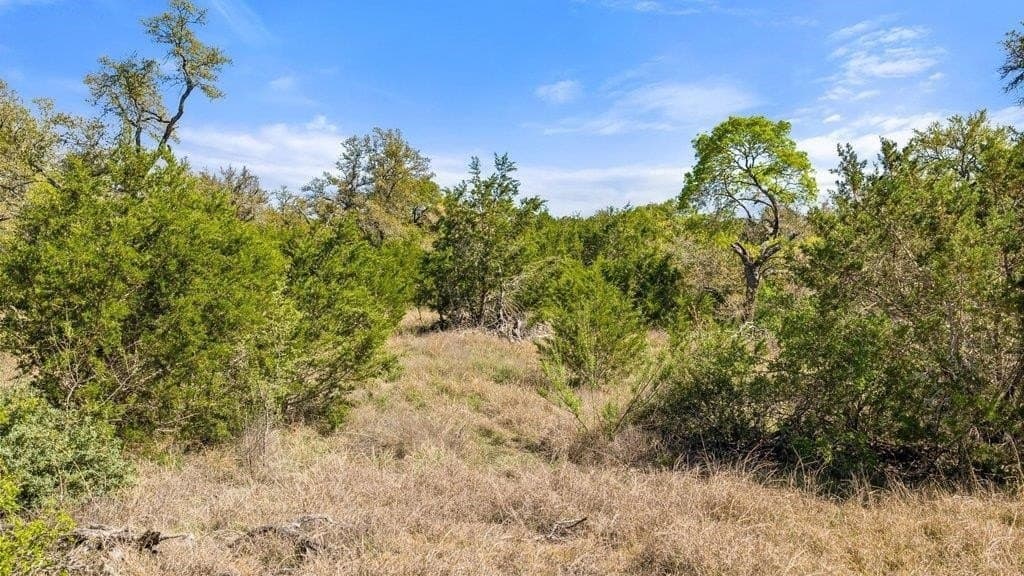 5 acres in Blanco County - photo 14