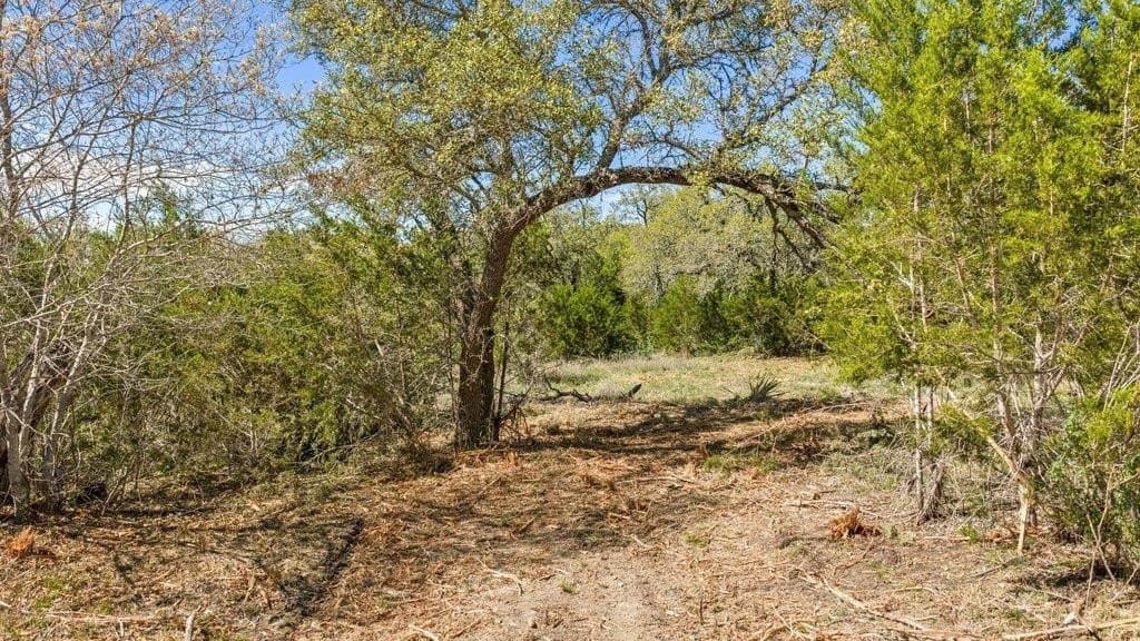 5 acres in Blanco County - photo 15