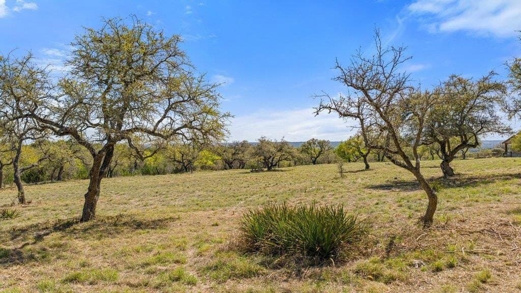 5 acres in Blanco County - photo 11