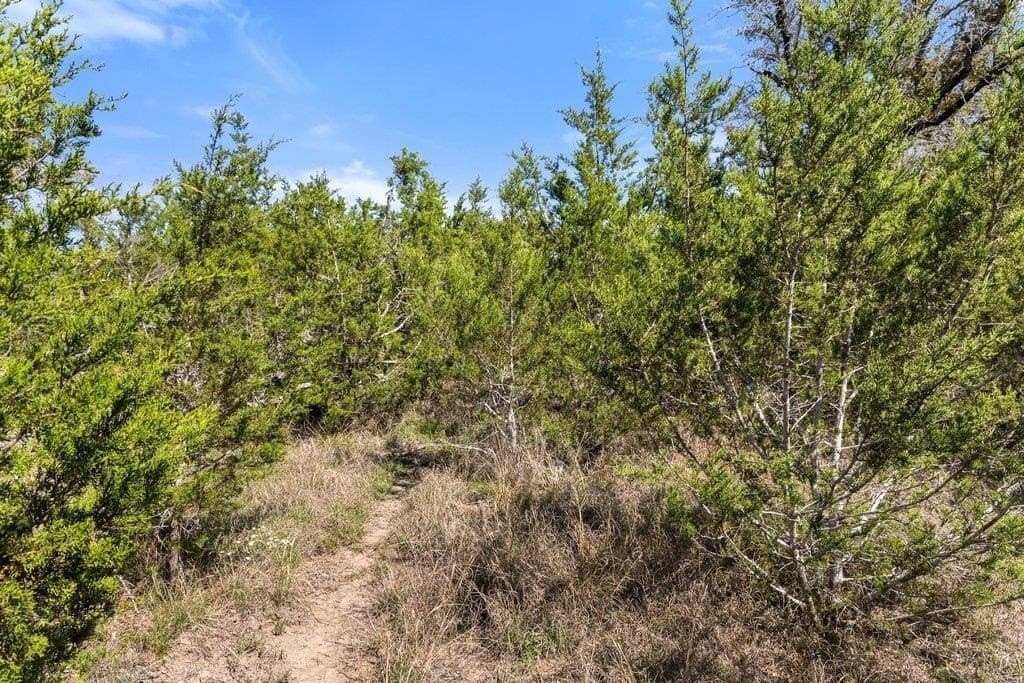 5 acres in Blanco County - photo 22