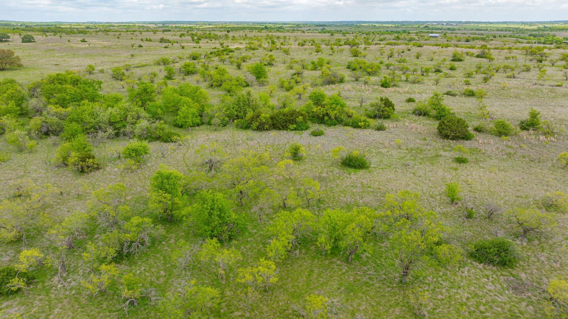 13.41 acres in Comanche County - photo 8