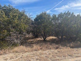 0.11 acres in Palo Pinto County - photo 4