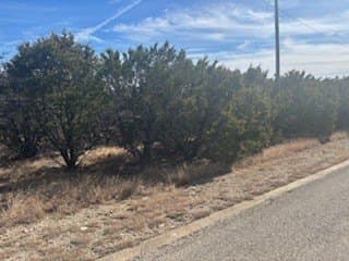 0.11 acres in Palo Pinto County - photo 2