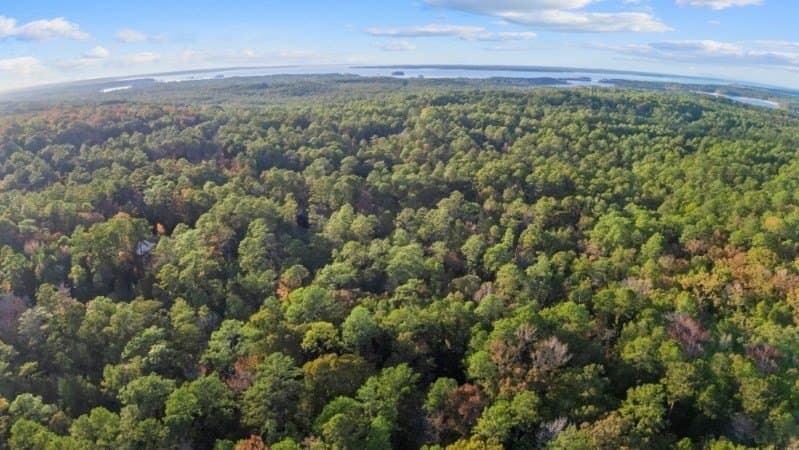 0.56 acres in Texas County gallery image 2