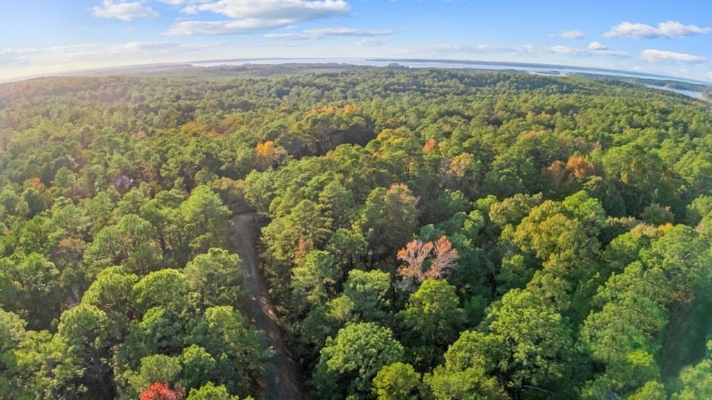 0.56 acres in Texas County gallery image 3