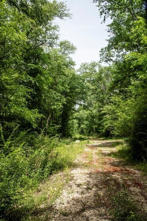 69.86 acres in Smith County gallery image 4