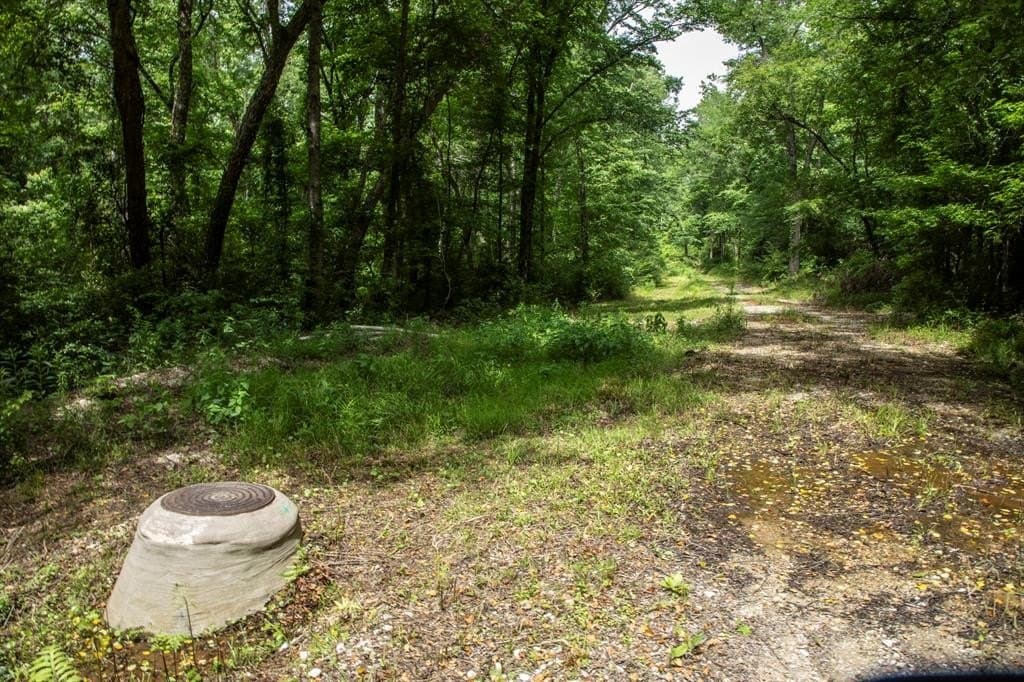 69.86 acres in Smith County gallery image 2