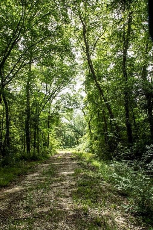 69.86 acres in Smith County gallery image 3