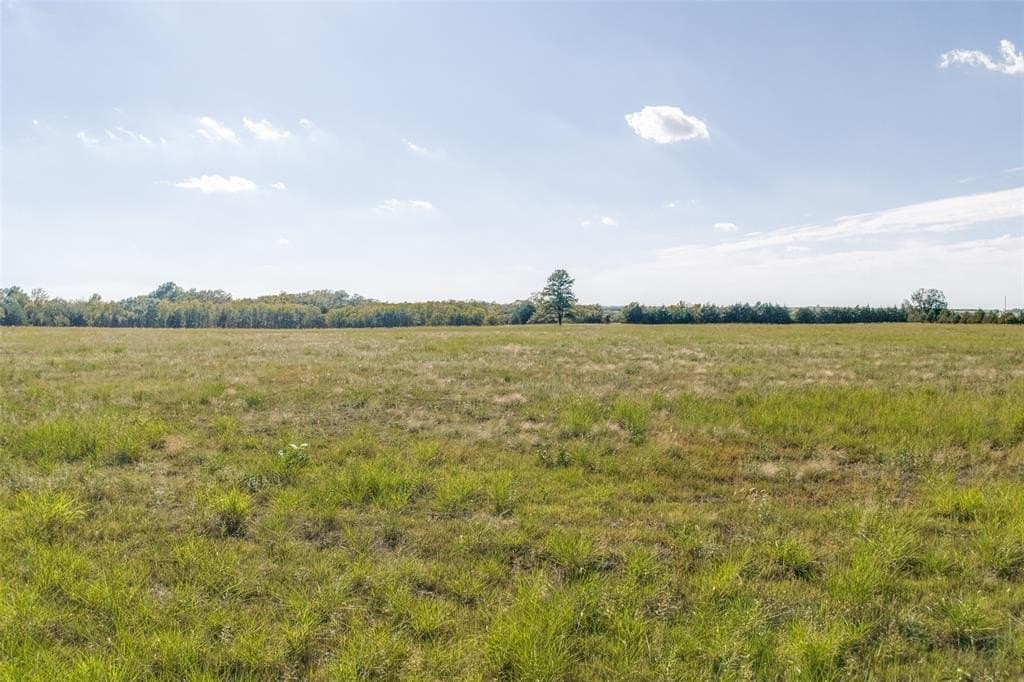 10.98 acres in Fannin County featured view
