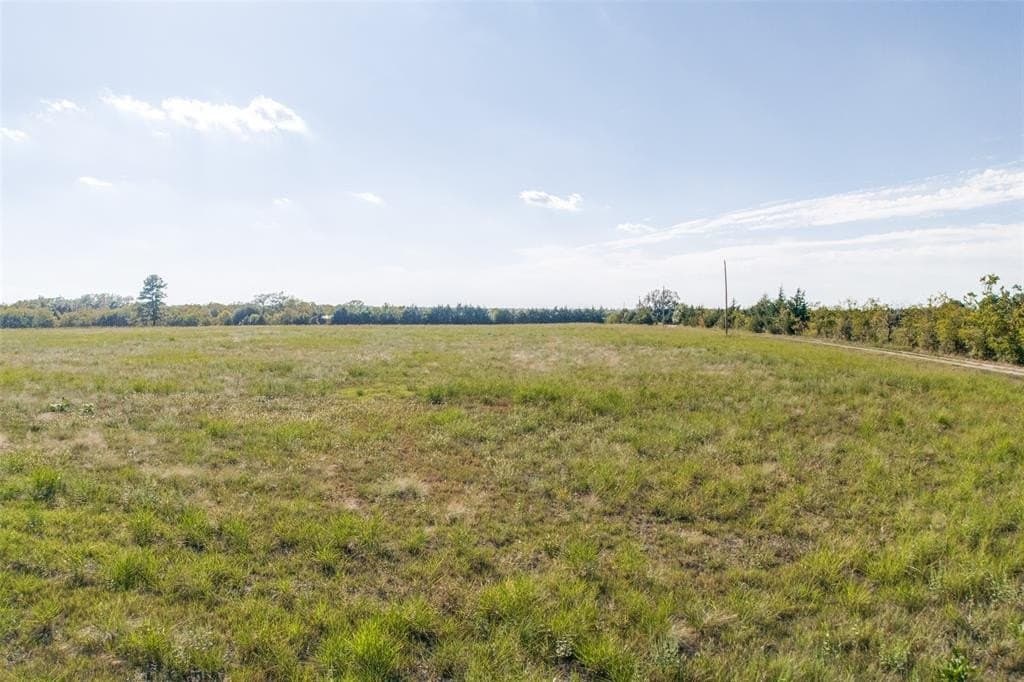 10.98 acres in Fannin County gallery image 3