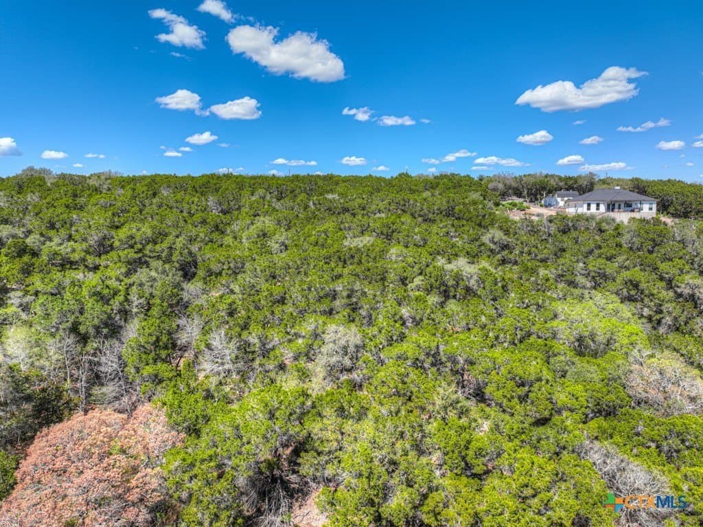 8.01 acres in Comal County - photo 7