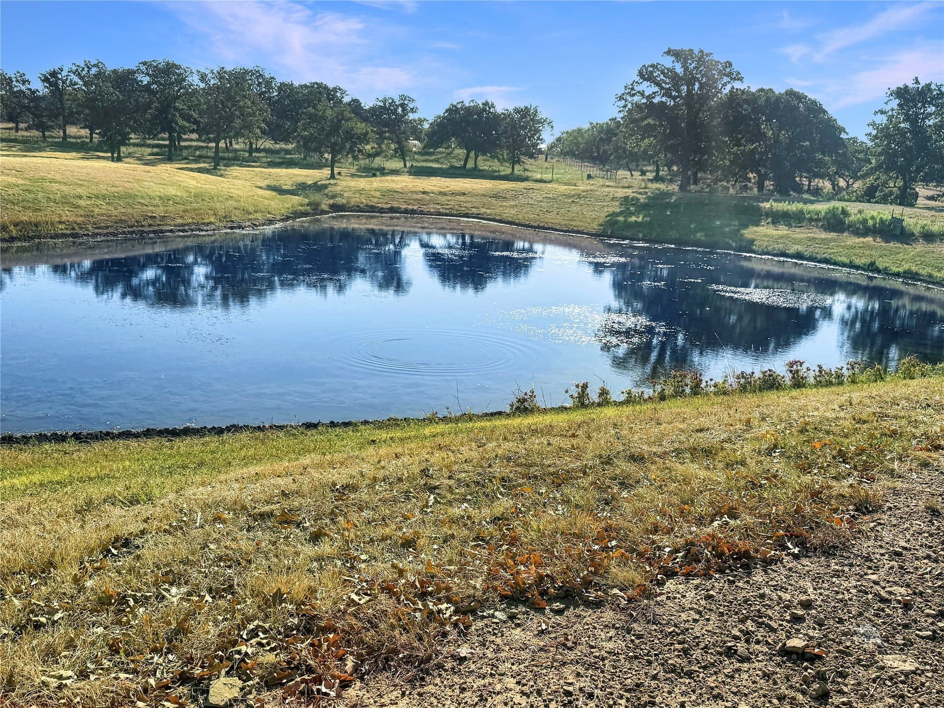 42.49 acres in Eastland County - photo 29