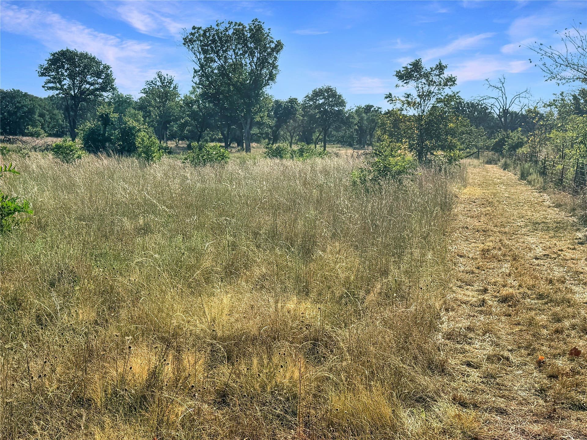 42.49 acres in Eastland County - photo 34