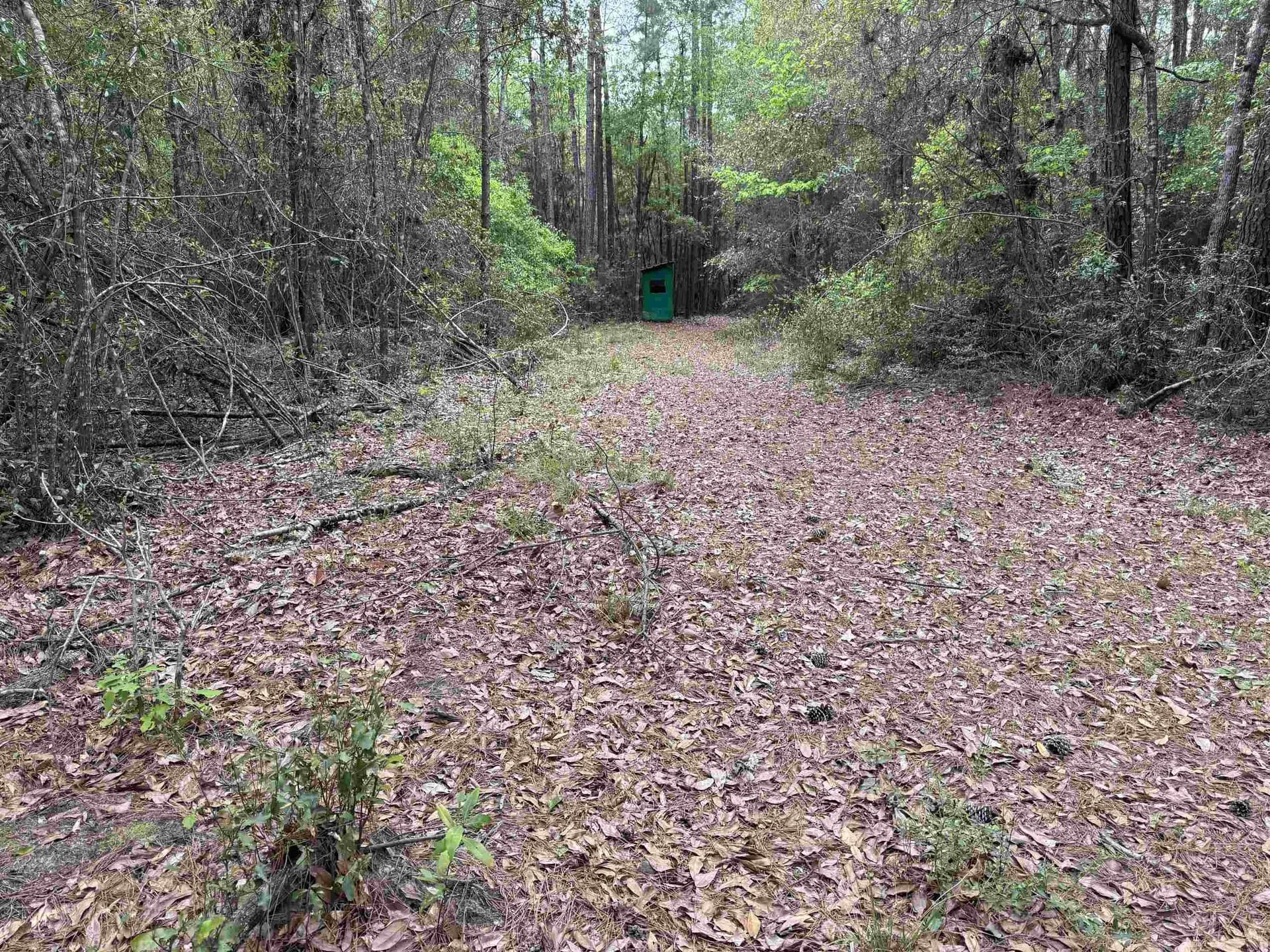 162.34 acres in Texas County - photo 10