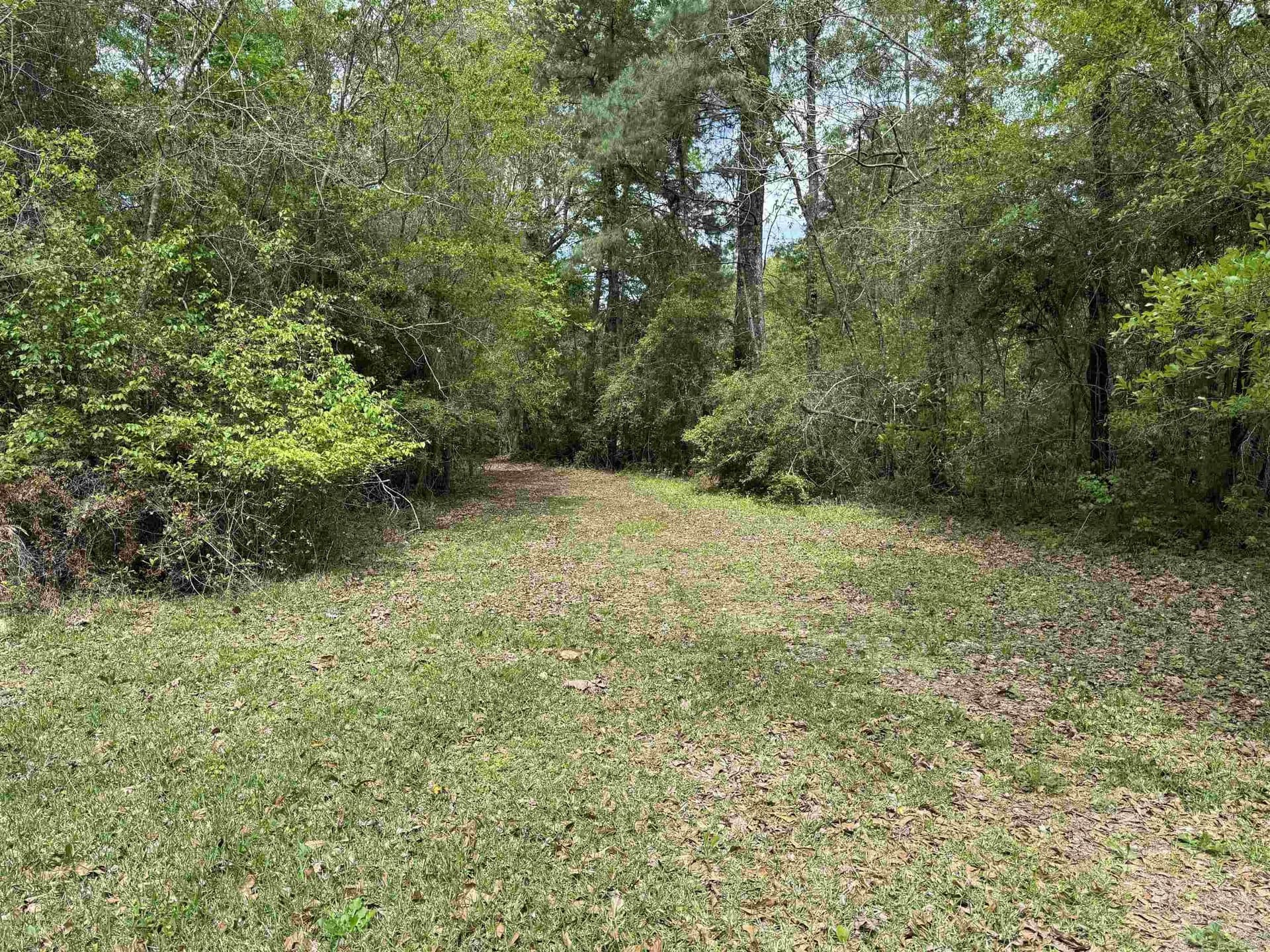 162.34 acres in Texas County - photo 6