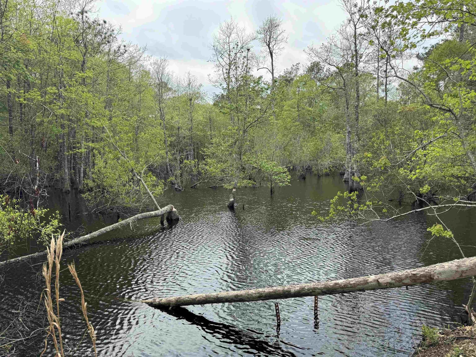 162.34 acres in Texas County - photo 3