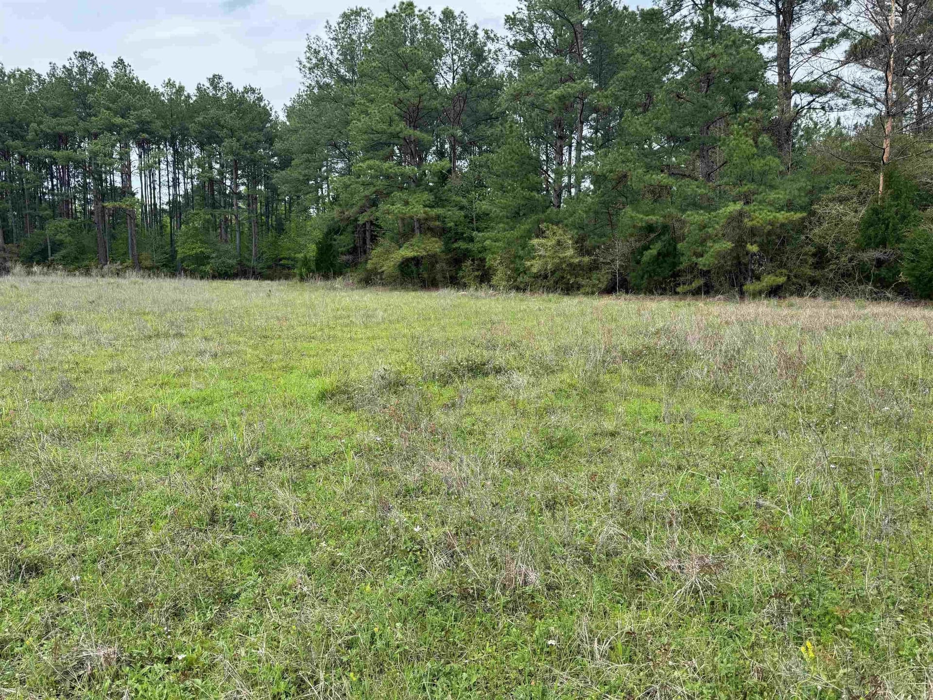 162.34 acres in Texas County