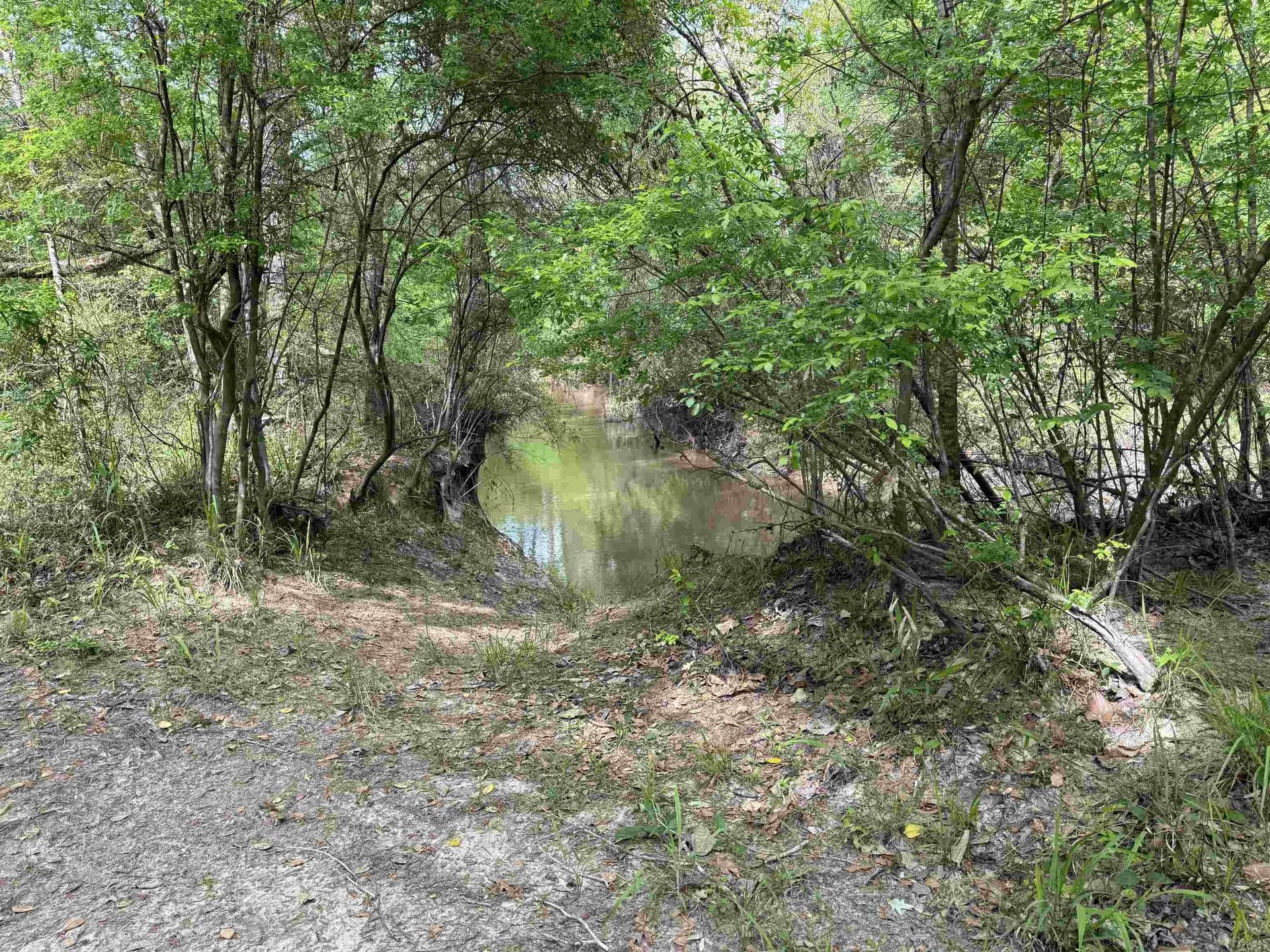 162.34 acres in Texas County - photo 11