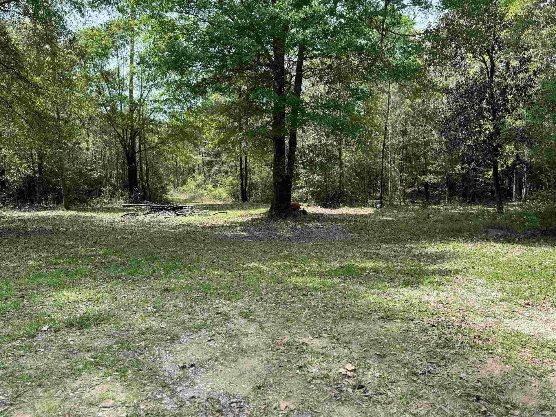 162.34 acres in Texas County - photo 17