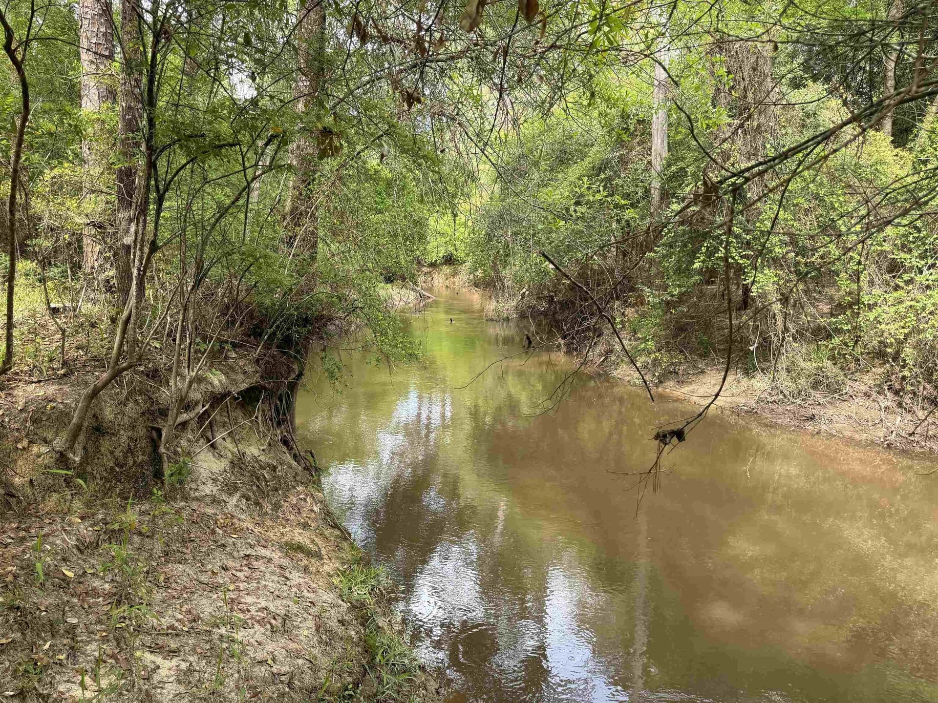 162.34 acres in Texas County - photo 12