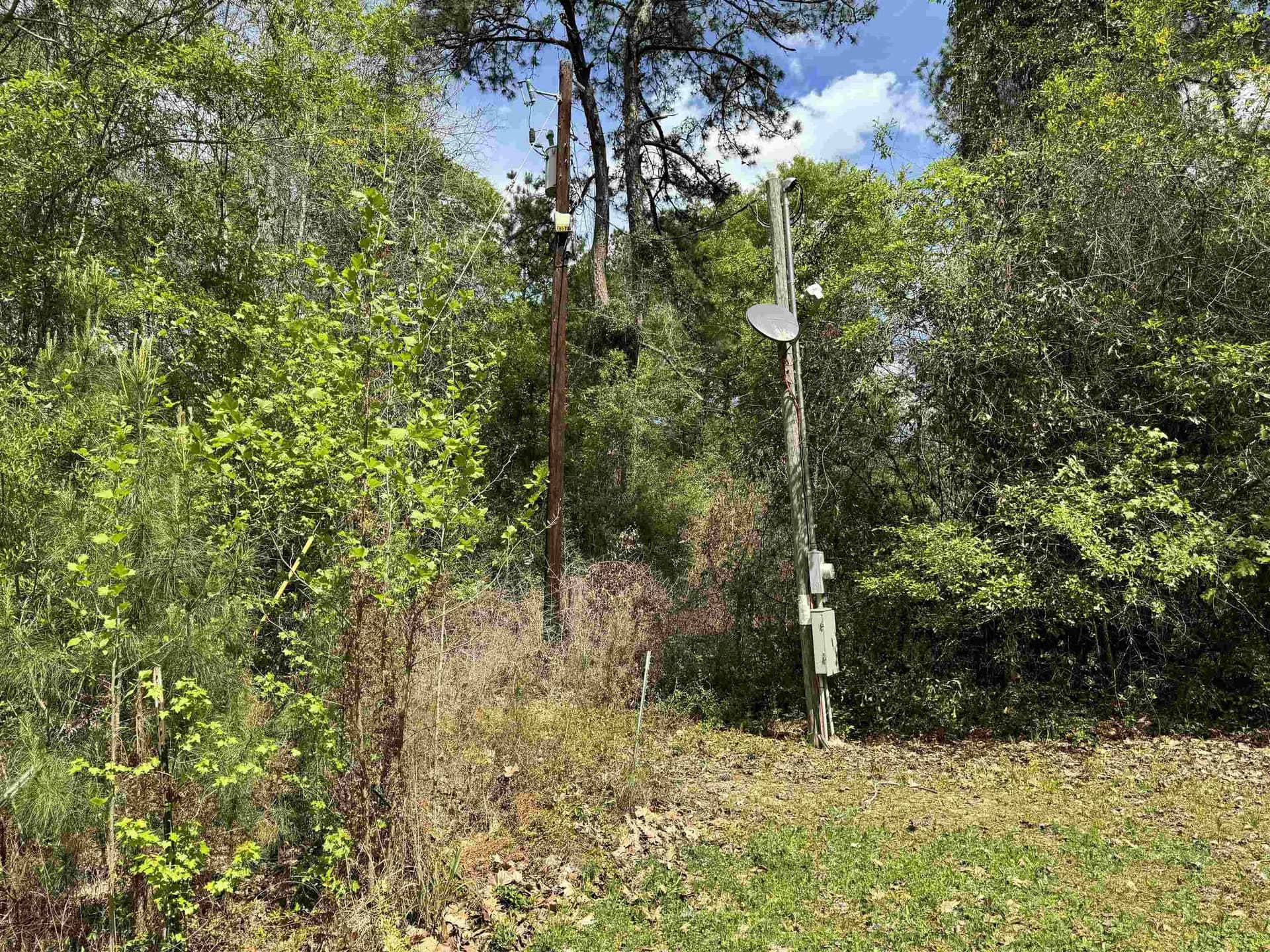 162.34 acres in Texas County - photo 23