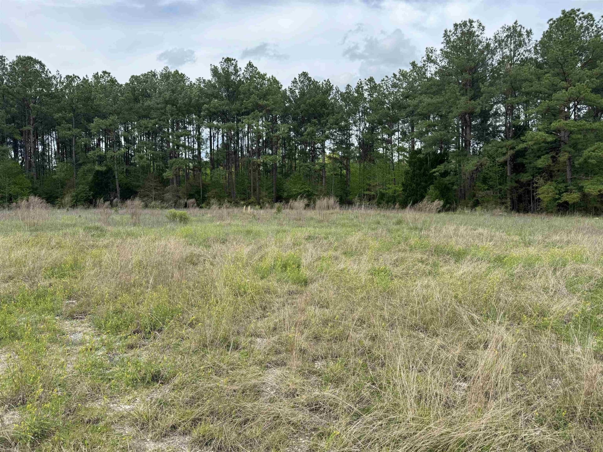 162.34 acres in Texas County - photo 2