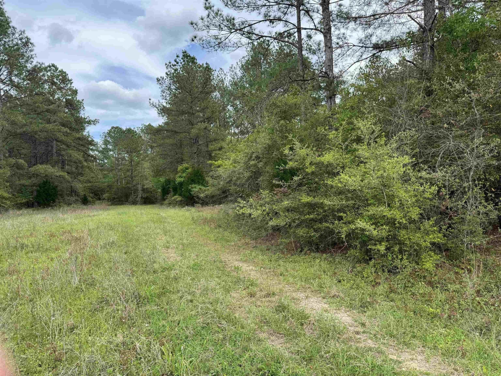 162.34 acres in Texas County - photo 5