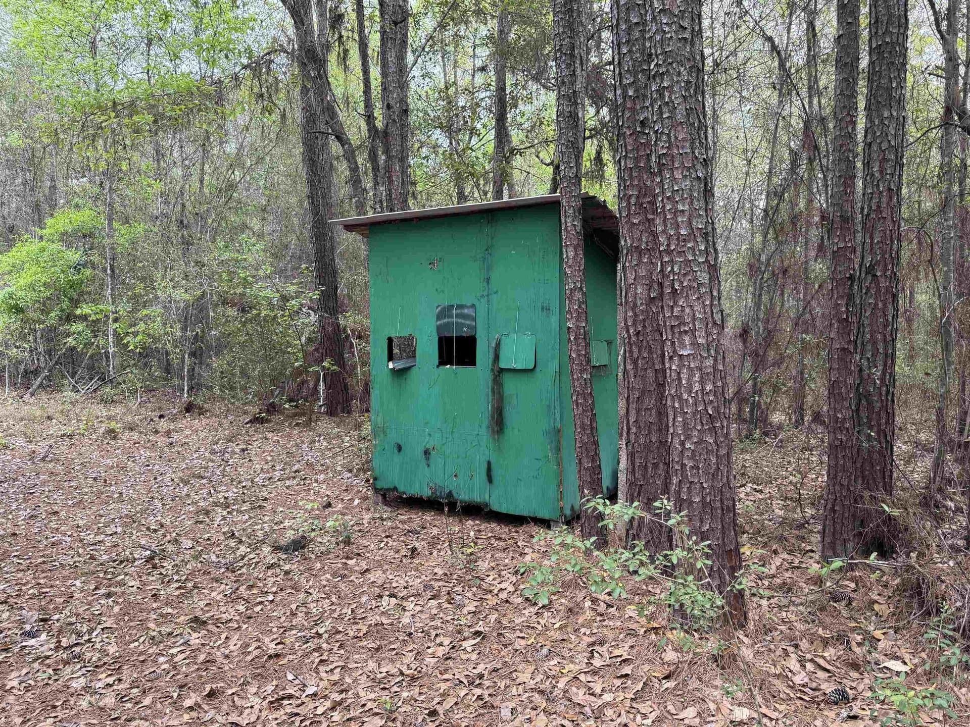 162.34 acres in Texas County - photo 4