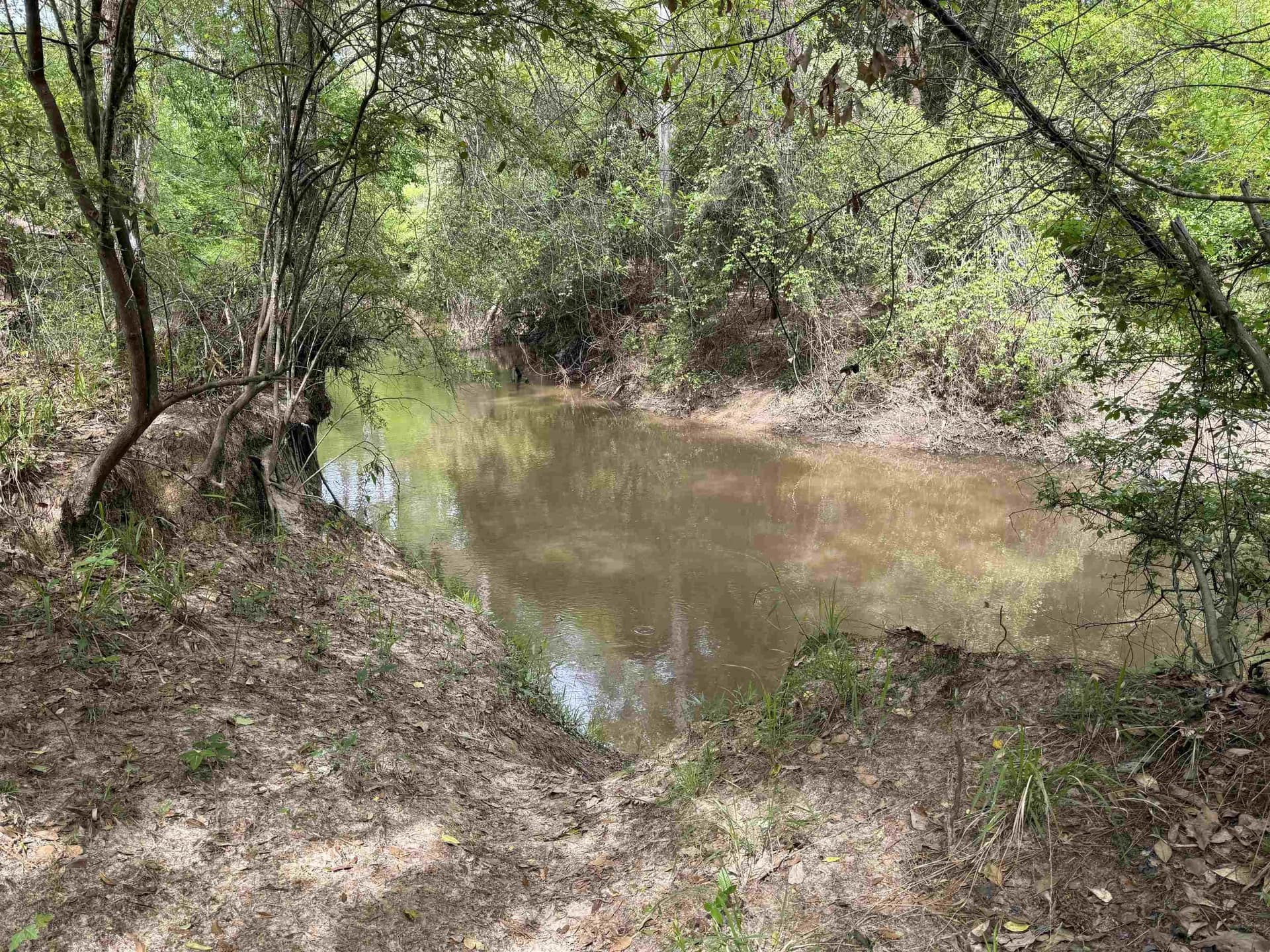 162.34 acres in Texas County - photo 13