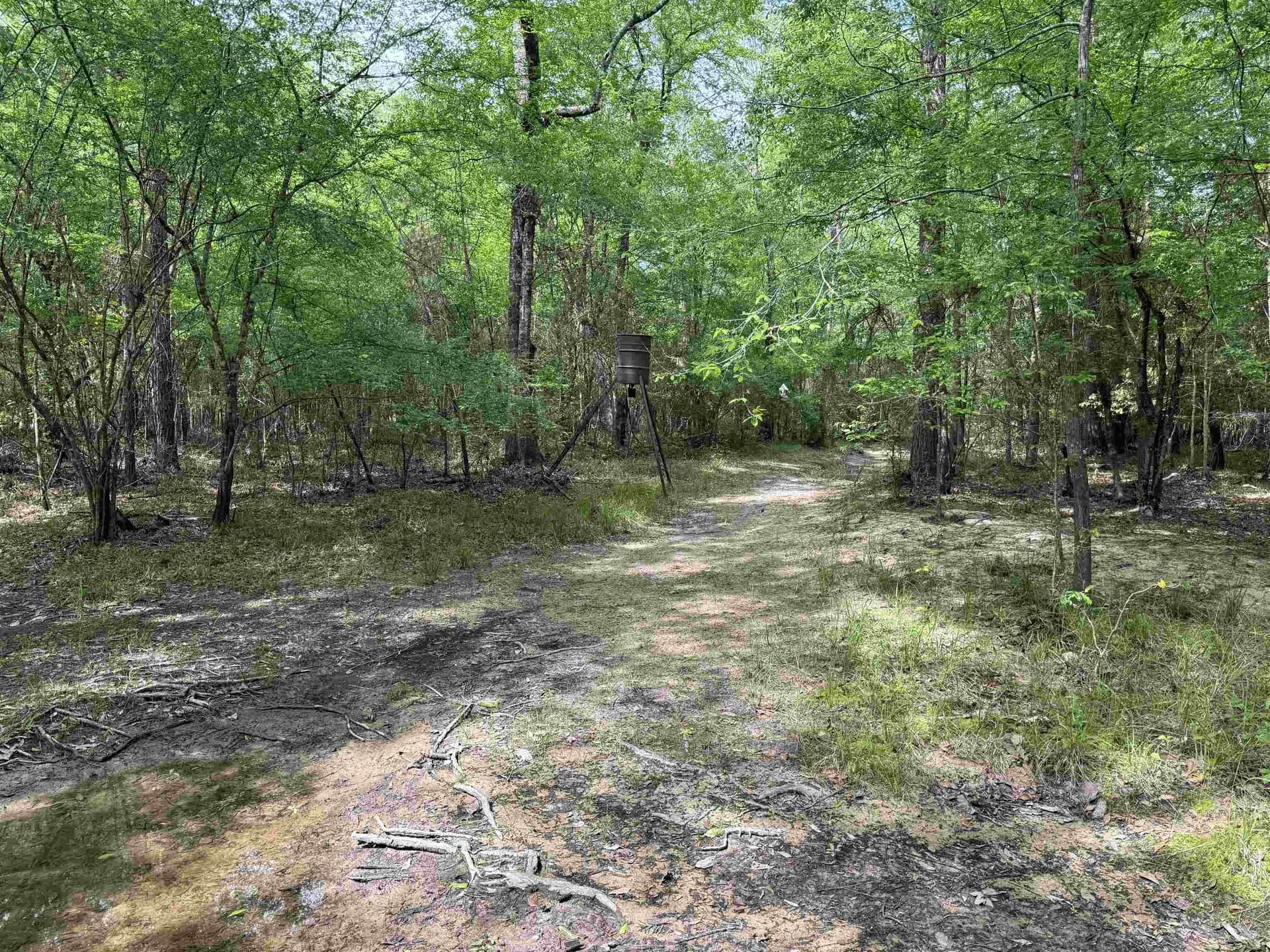 162.34 acres in Texas County - photo 14