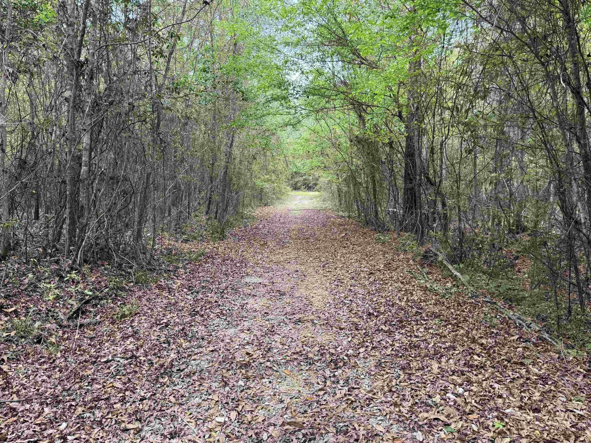 162.34 acres in Texas County - photo 16
