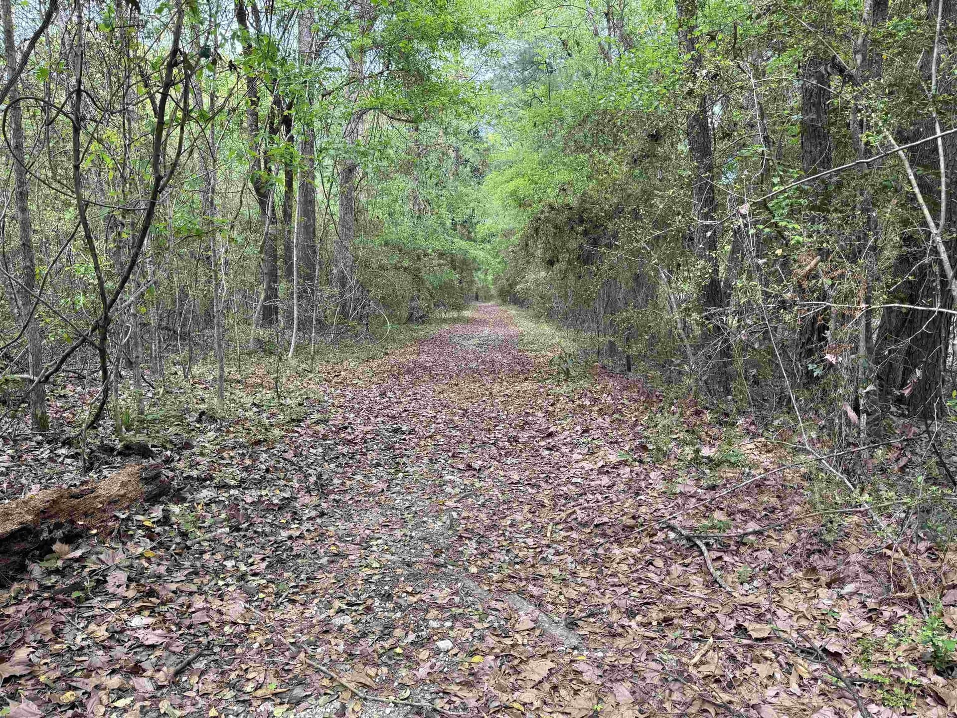 162.34 acres in Texas County - photo 19