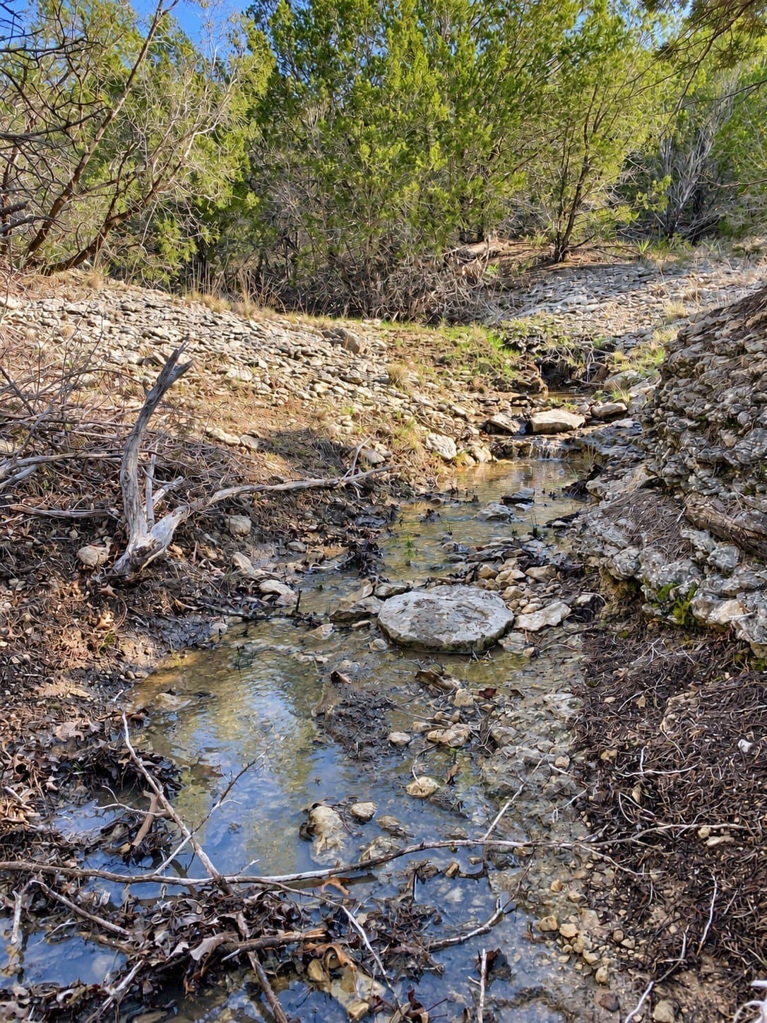 5.01 acres in Erath County - photo 8