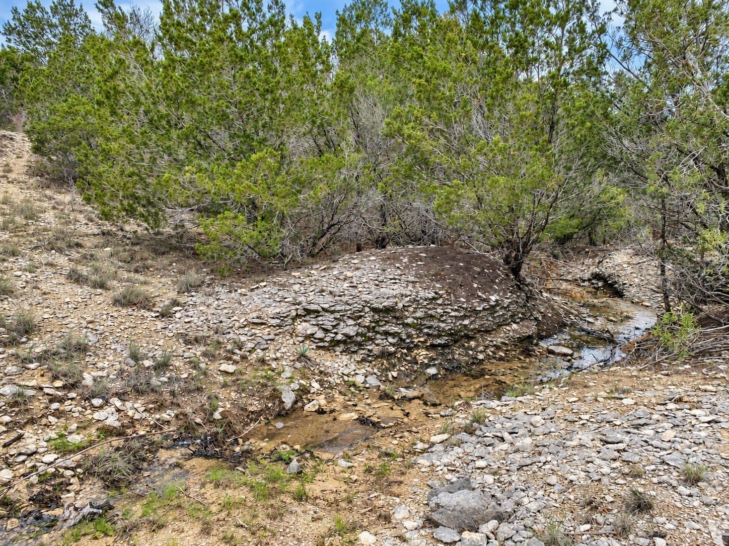 5.01 acres in Erath County - photo 10