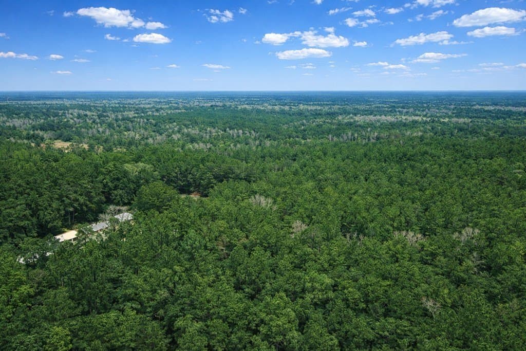 12.4 acres in Texas County featured view