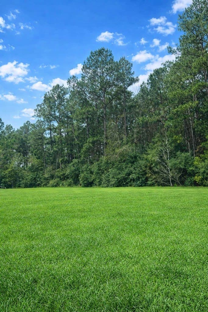 12.4 acres in Texas County gallery image 3