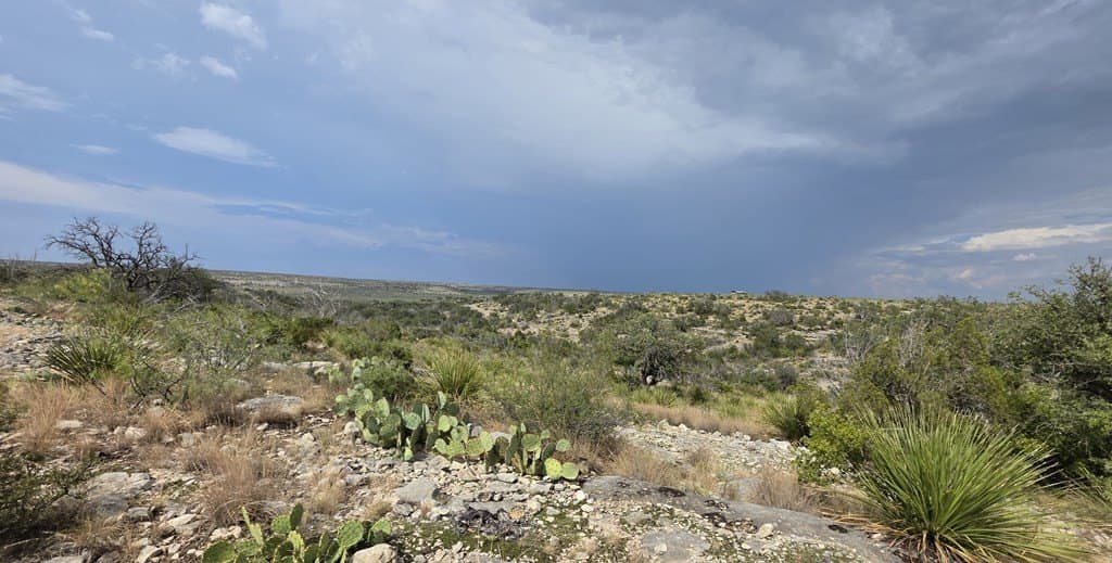 200 acres in Crockett County gallery image 3